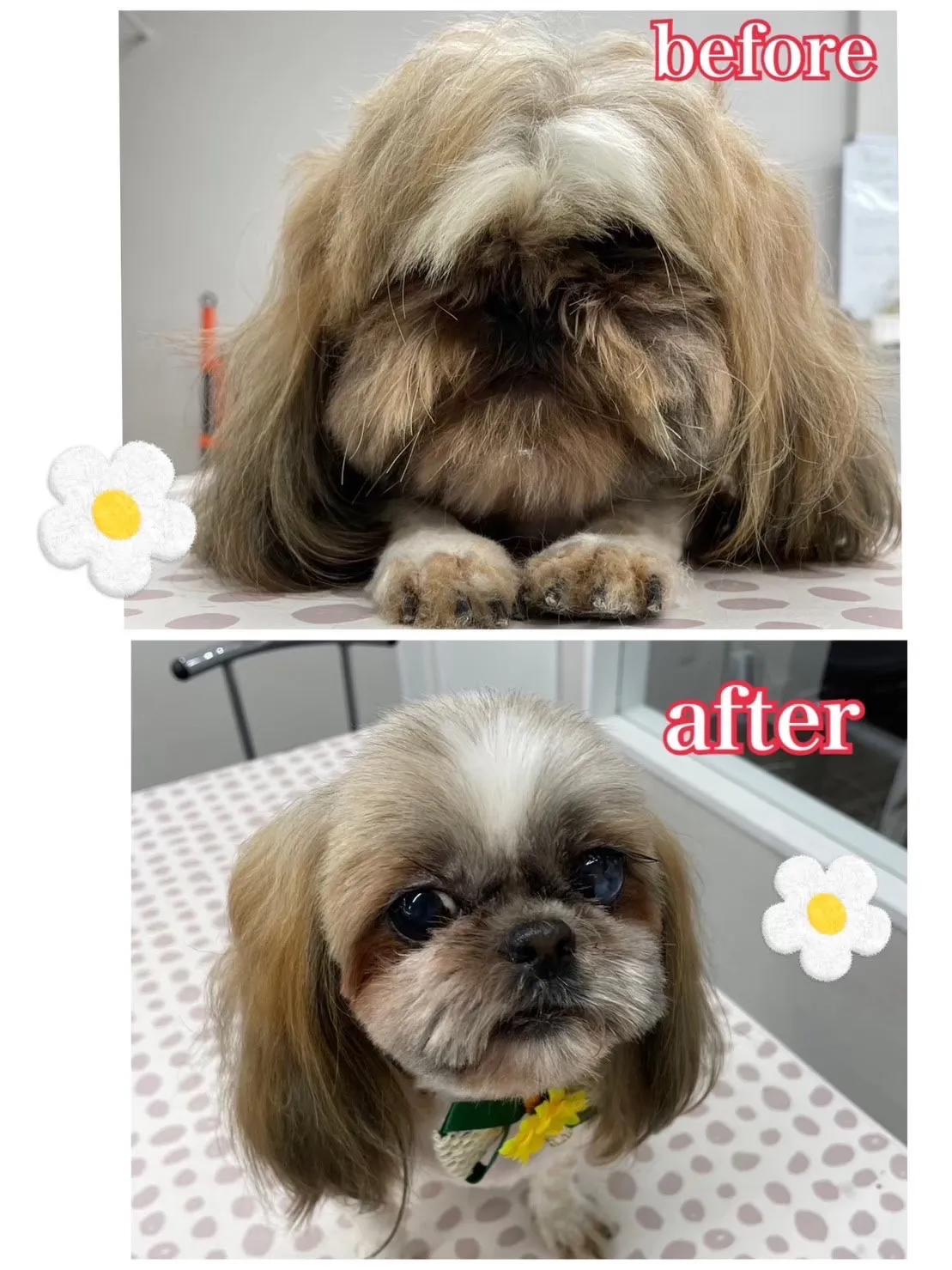 ビフォーアフター