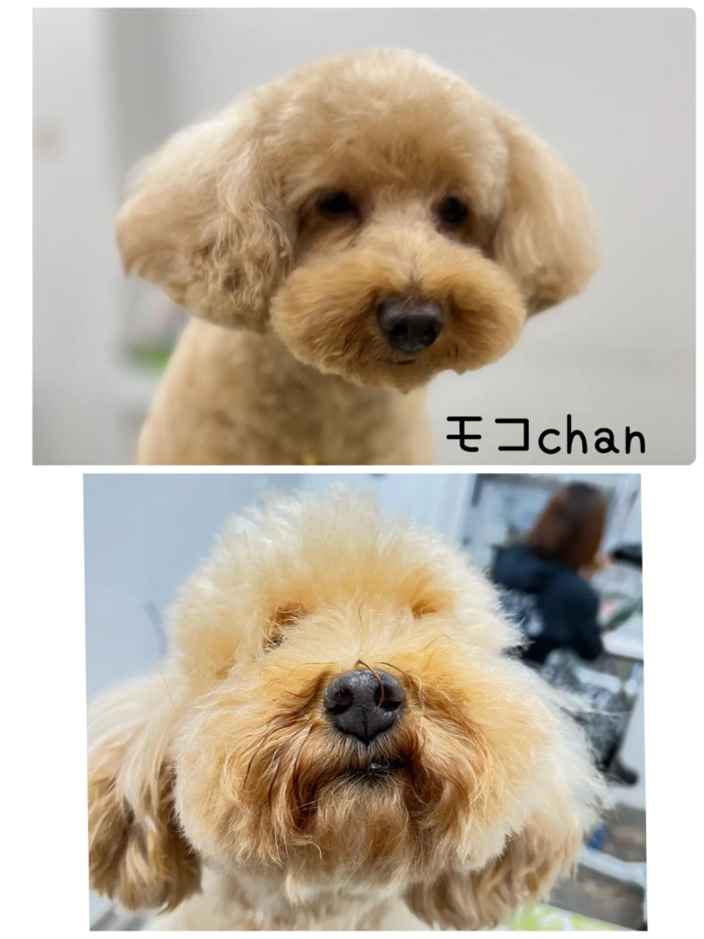 ビフォーアフター
