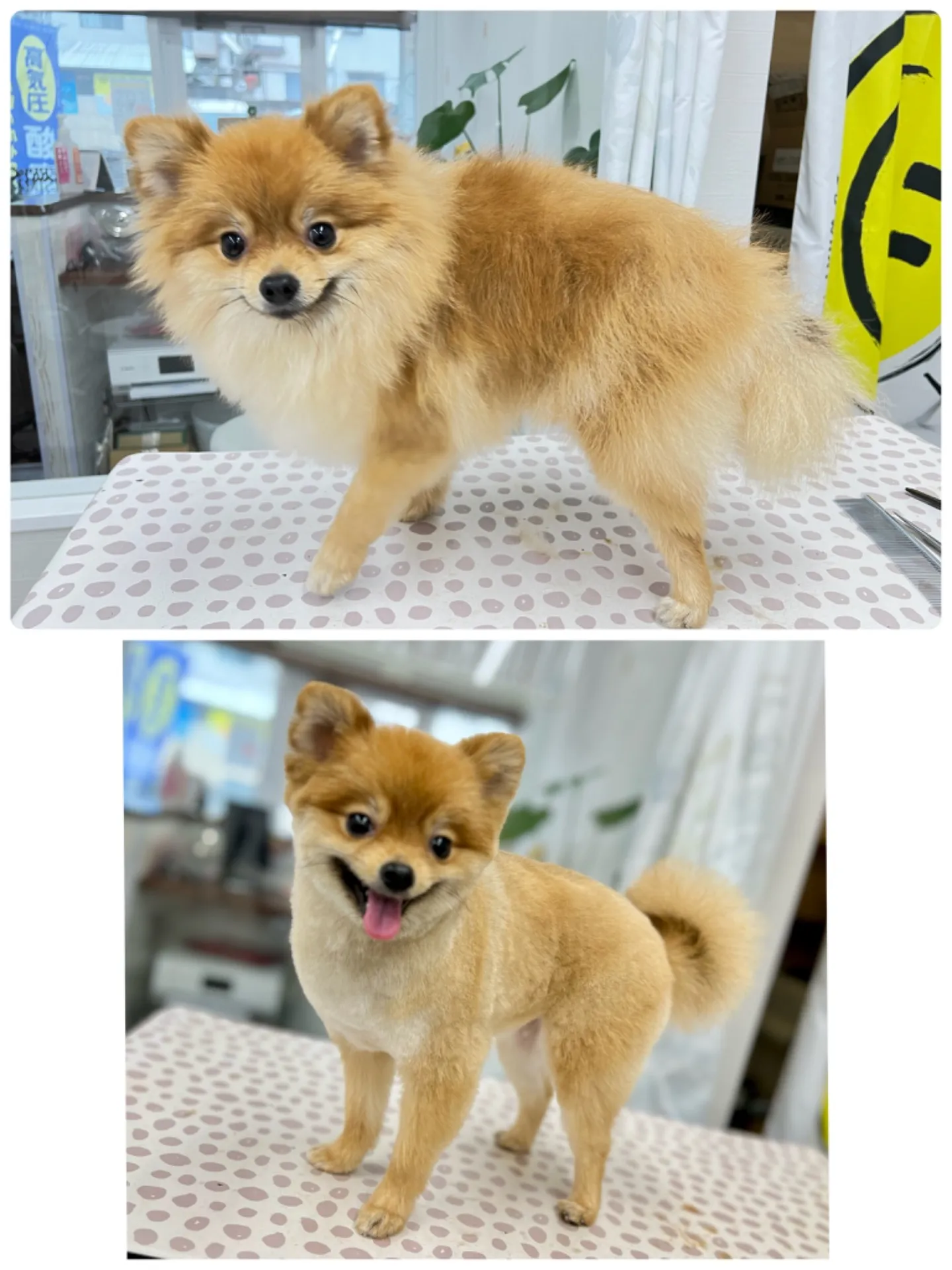 ビフォーアフター
