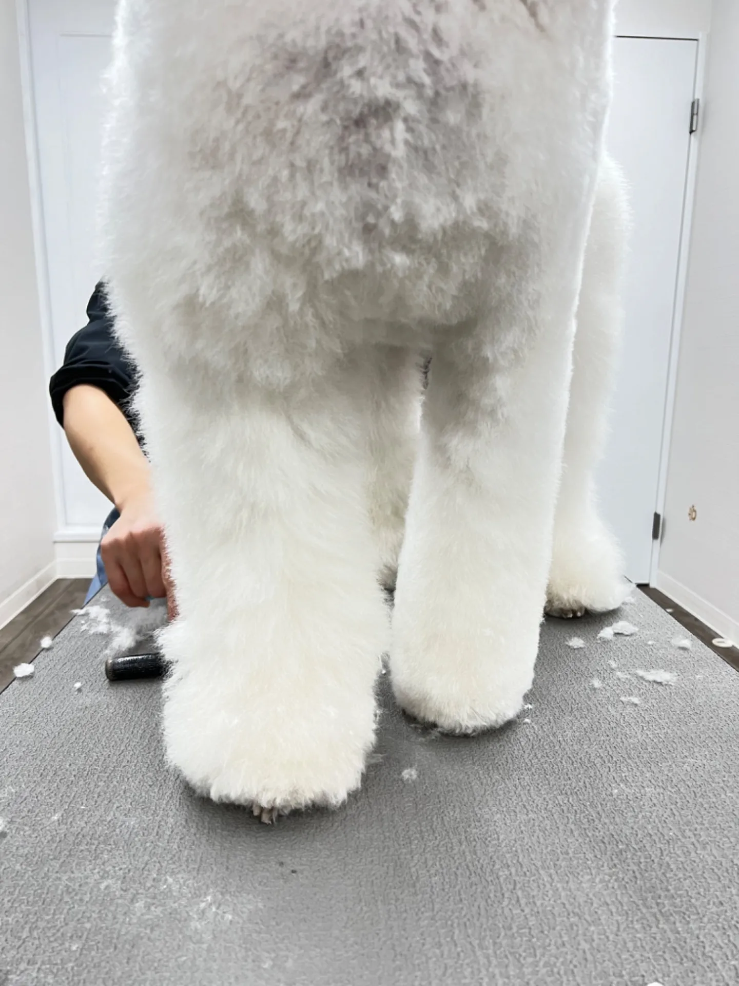 ビフォーアフター