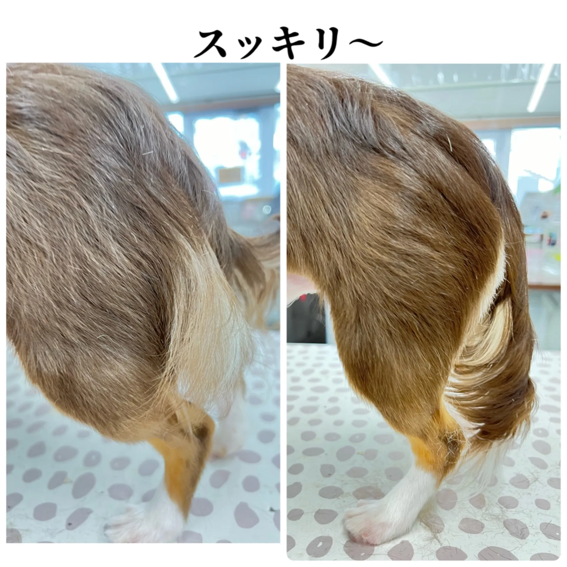 ビフォーアフター