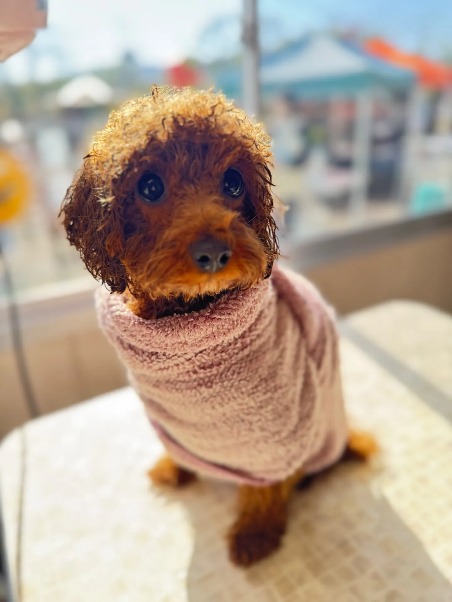 シャンプー上がりの巻き巻きスタイル♪